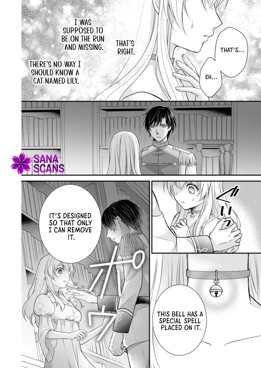 Read Noroi de Neko ni Sareta Akujo, Outaishi ni Hirowareru Manga Online