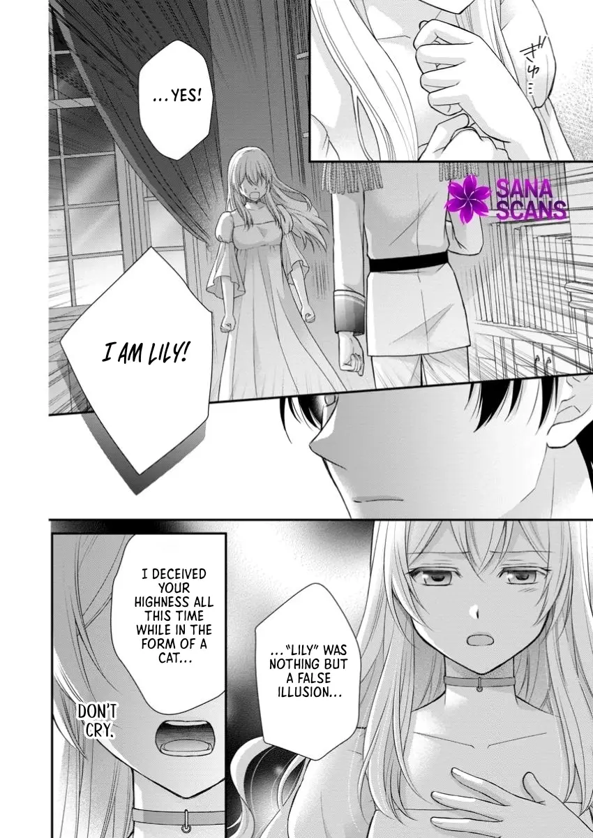 Read Noroi de Neko ni Sareta Akujo, Outaishi ni Hirowareru Manga Online