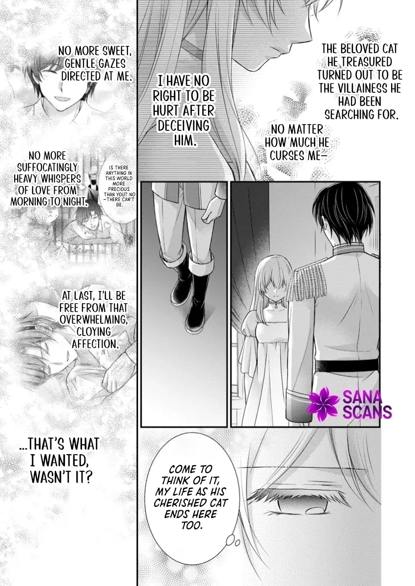 Read Noroi de Neko ni Sareta Akujo, Outaishi ni Hirowareru Manga Online