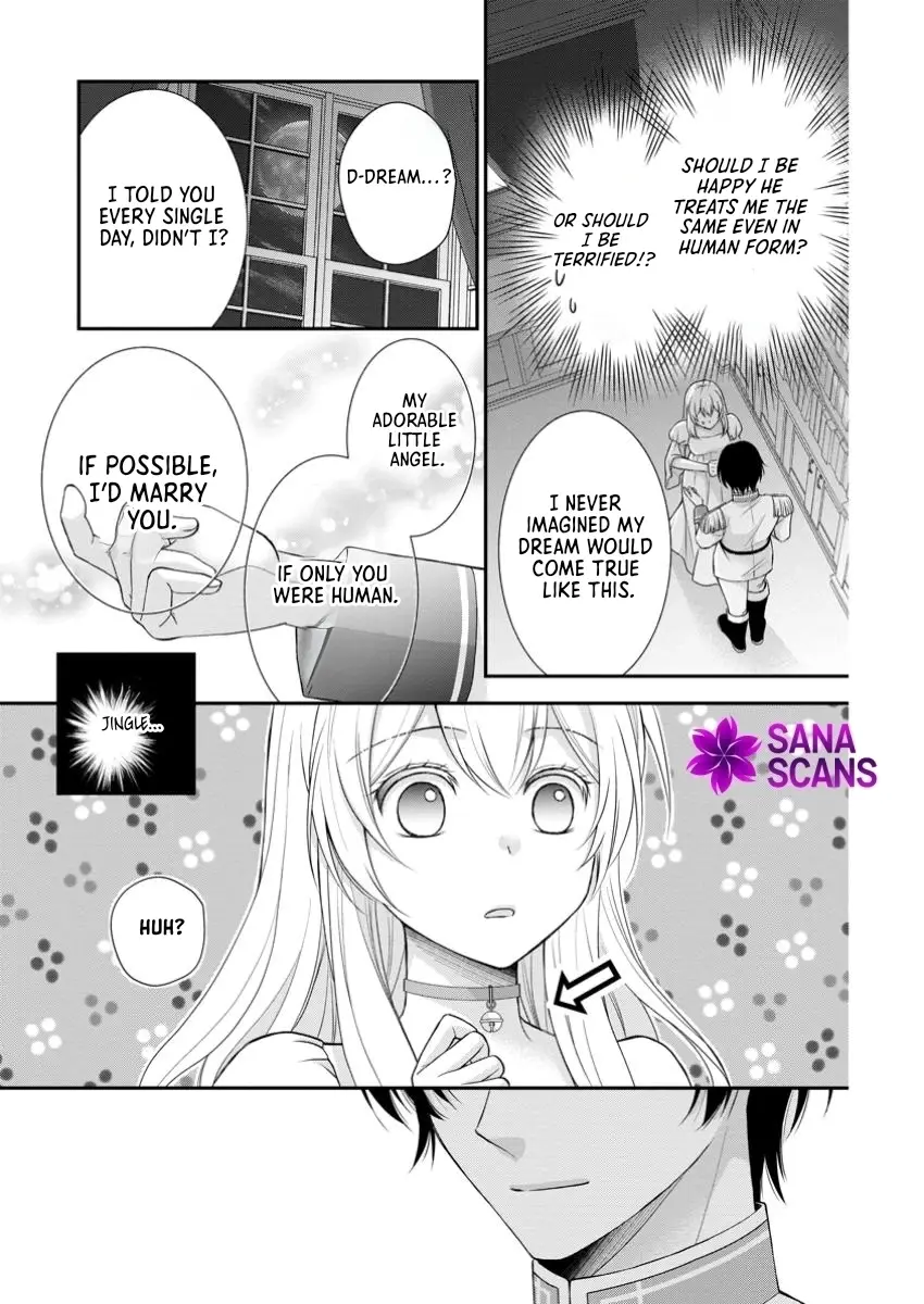 Read Noroi de Neko ni Sareta Akujo, Outaishi ni Hirowareru Manga Online