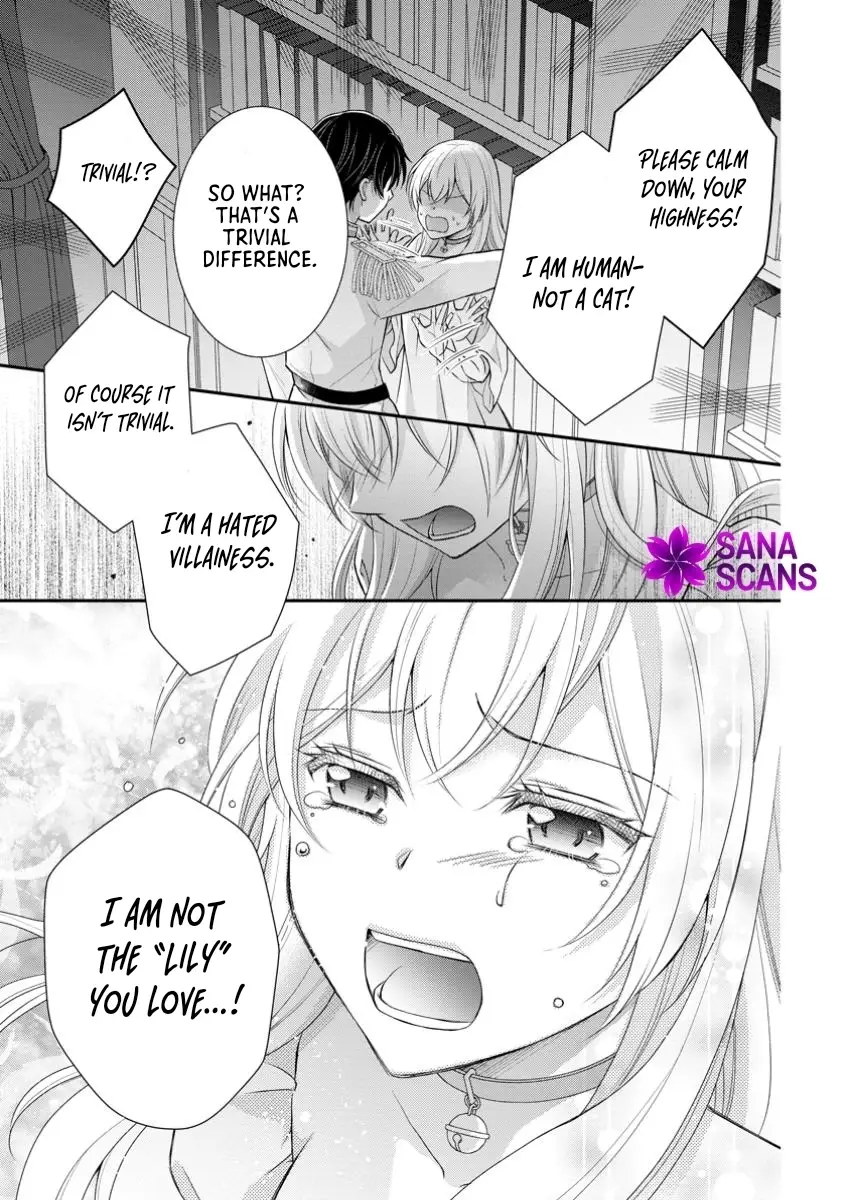 Read Noroi de Neko ni Sareta Akujo, Outaishi ni Hirowareru Manga Online