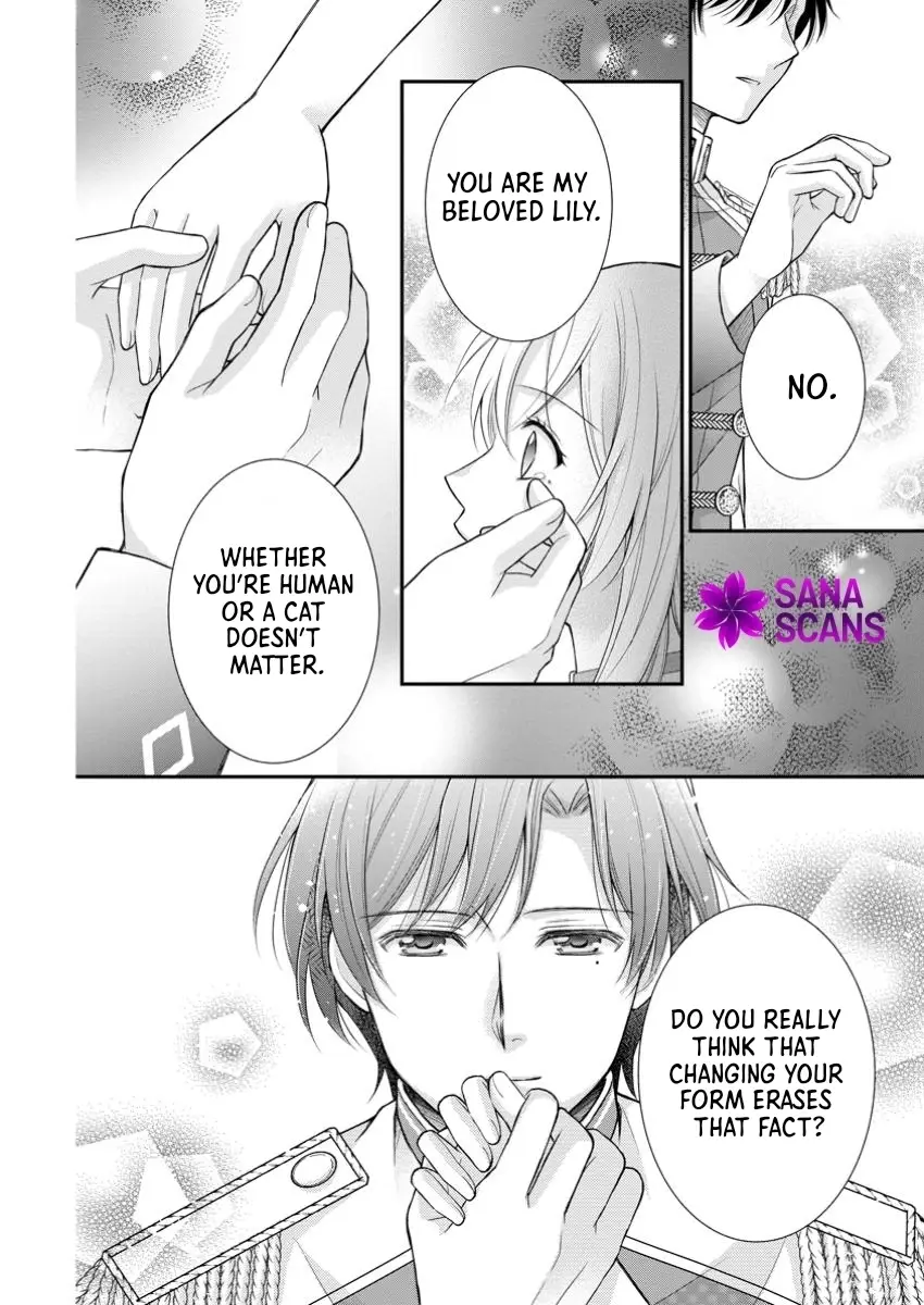 Read Noroi de Neko ni Sareta Akujo, Outaishi ni Hirowareru Manga Online