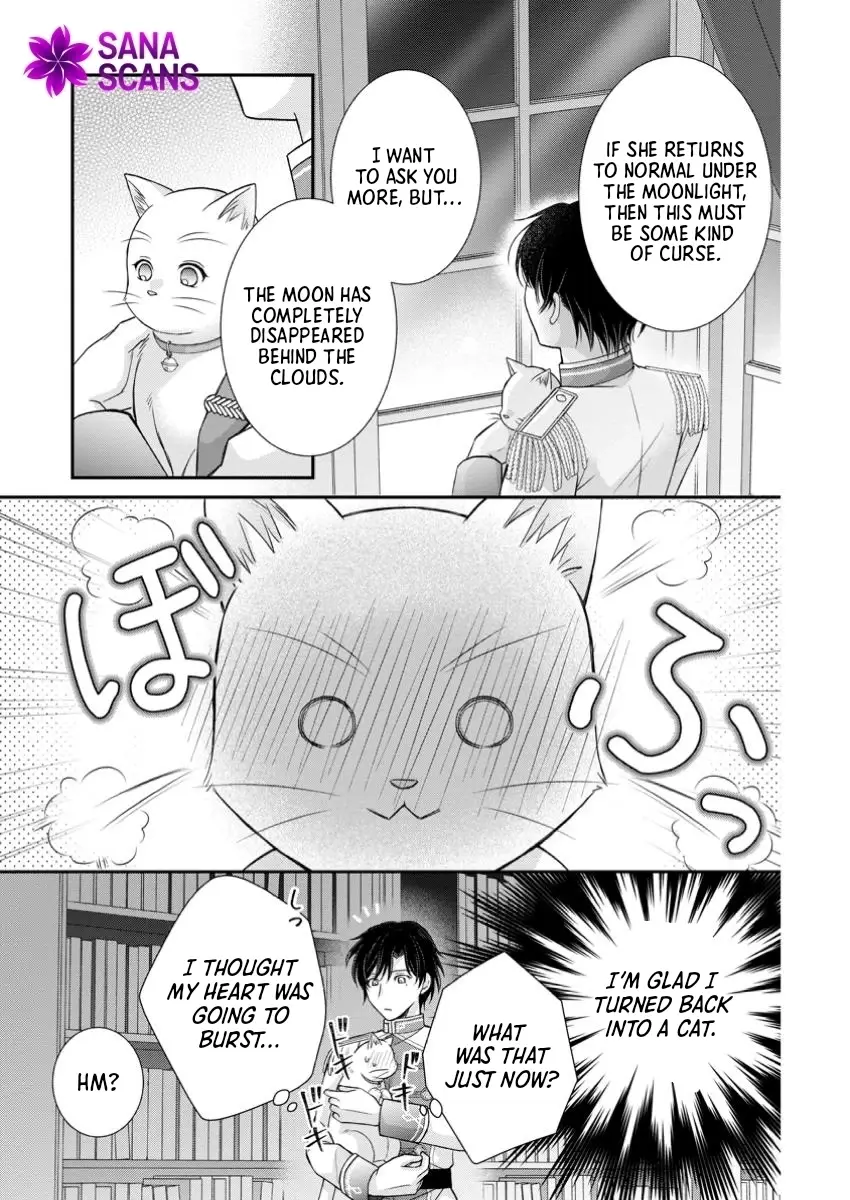 Read Noroi de Neko ni Sareta Akujo, Outaishi ni Hirowareru Manga Online