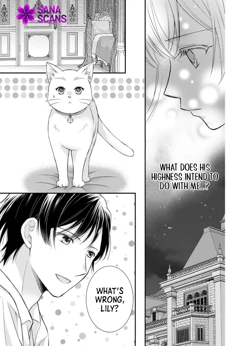 Read Noroi de Neko ni Sareta Akujo, Outaishi ni Hirowareru Manga Online