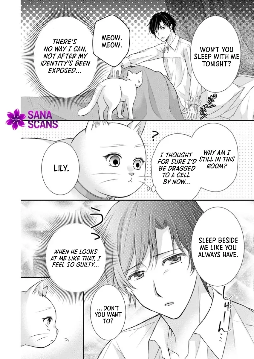 Read Noroi de Neko ni Sareta Akujo, Outaishi ni Hirowareru Manga Online