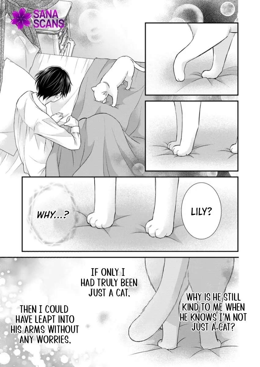 Read Noroi de Neko ni Sareta Akujo, Outaishi ni Hirowareru Manga Online