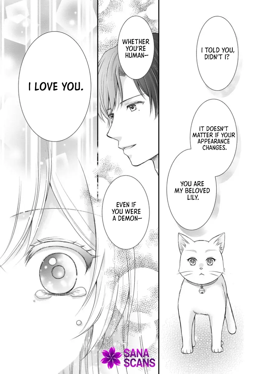 Read Noroi de Neko ni Sareta Akujo, Outaishi ni Hirowareru Manga Online