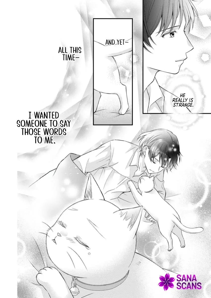 Read Noroi de Neko ni Sareta Akujo, Outaishi ni Hirowareru Manga Online