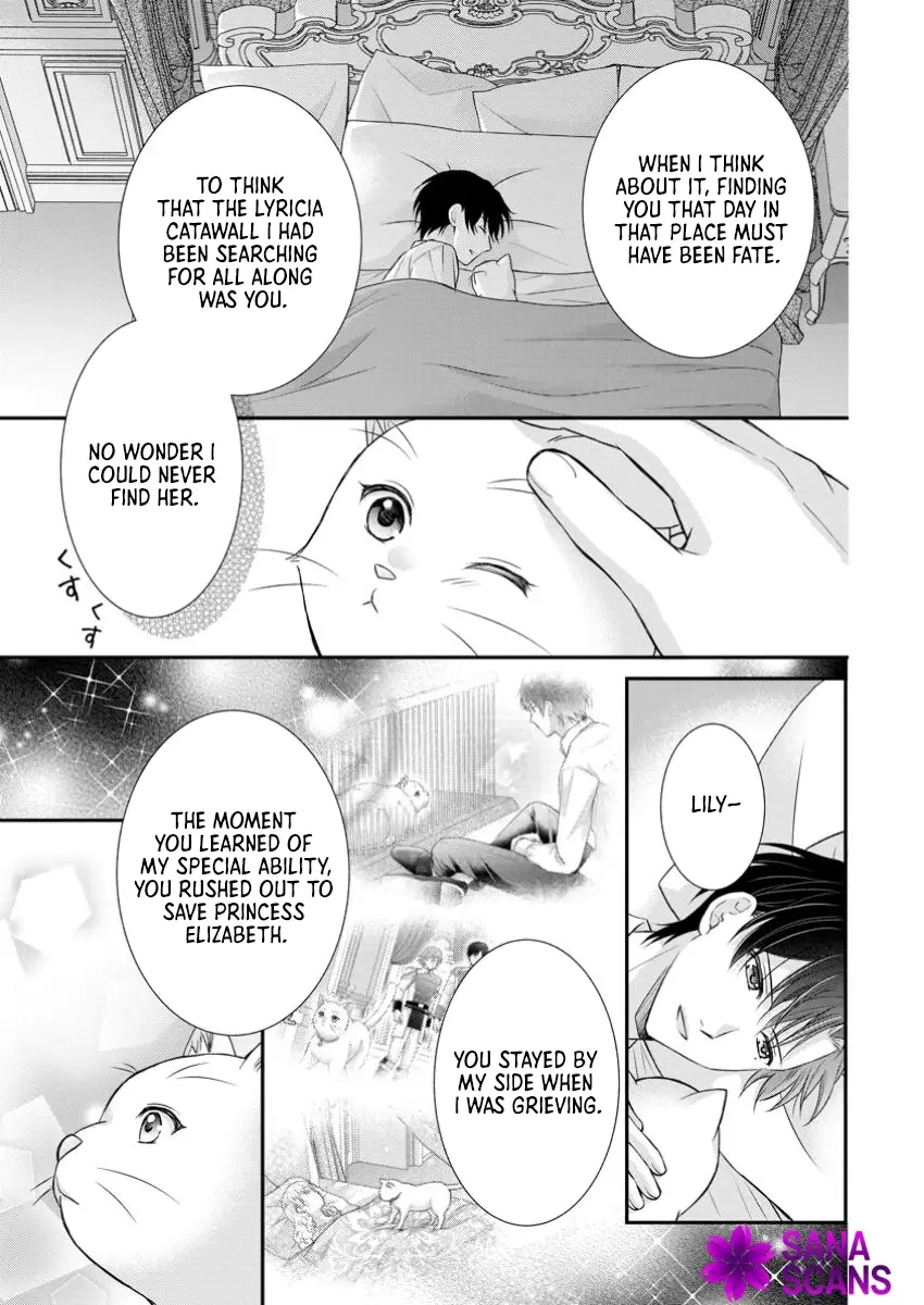 Read Noroi de Neko ni Sareta Akujo, Outaishi ni Hirowareru Manga Online