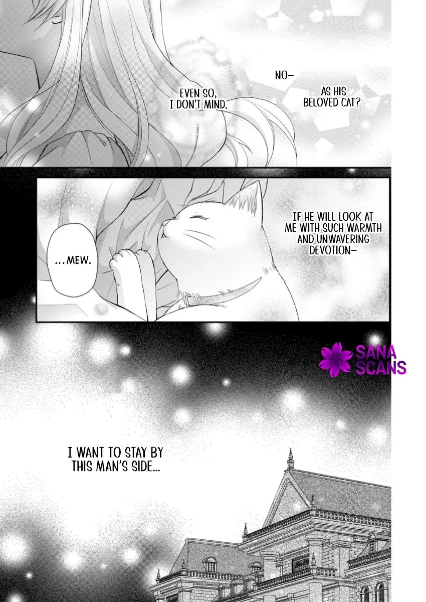 Read Noroi de Neko ni Sareta Akujo, Outaishi ni Hirowareru Manga Online