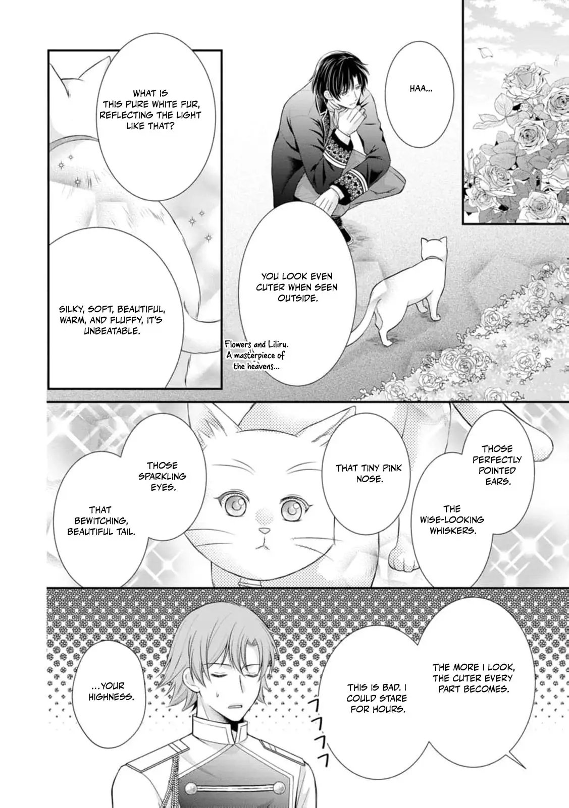 Read Noroi de Neko ni Sareta Akujo, Outaishi ni Hirowareru Manga Online