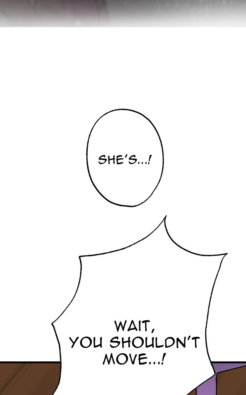 Read Samurai no Tora Manga Online