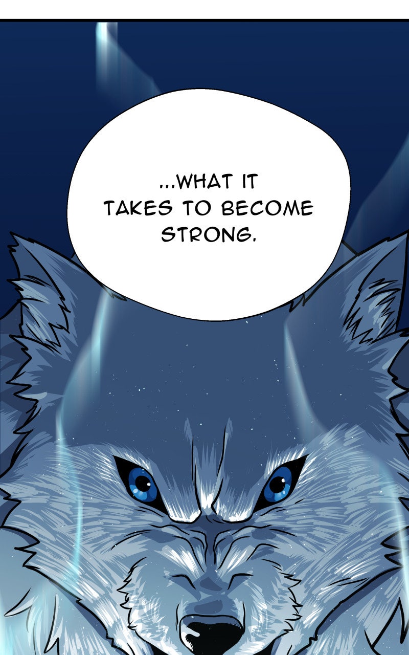 Read Samurai no Tora Manga Online