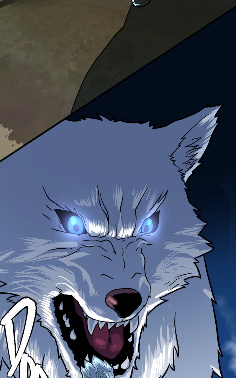 Read Samurai no Tora Manga Online