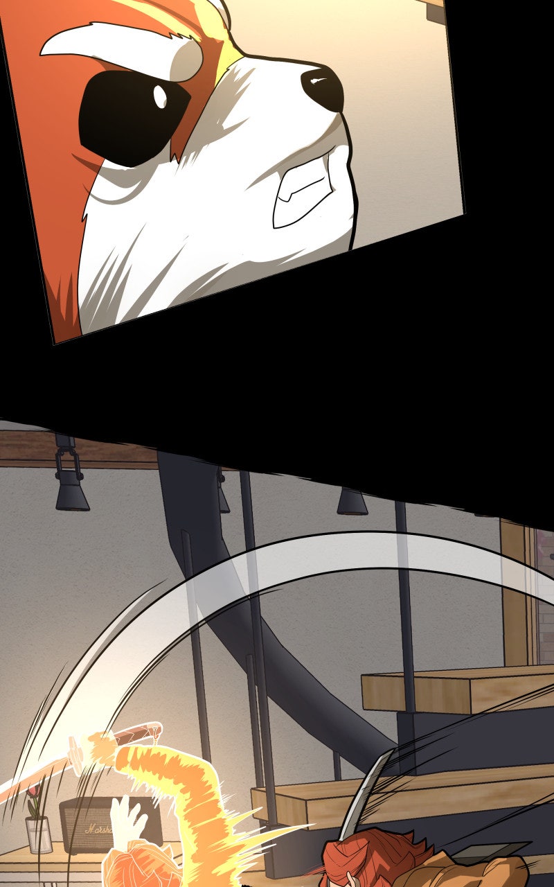 Read Samurai no Tora Manga Online