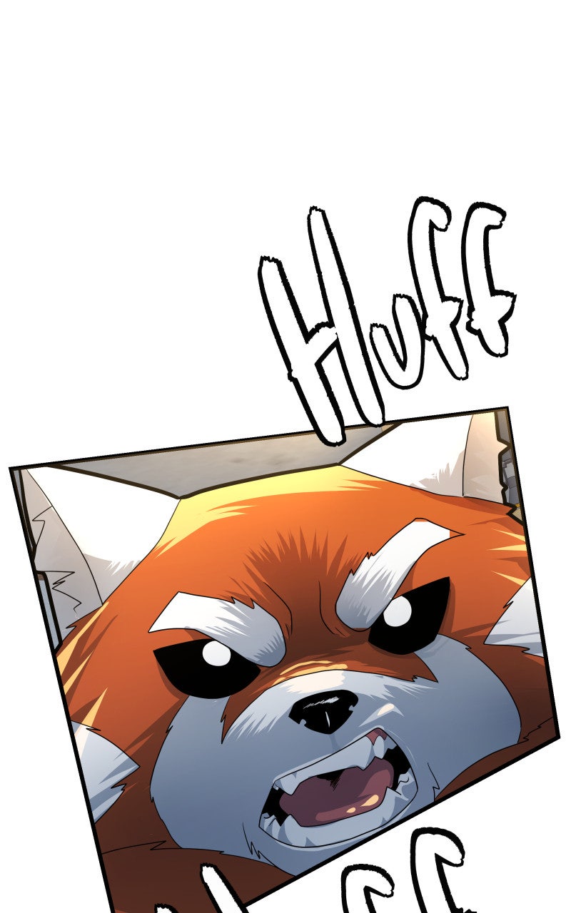 Read Samurai no Tora Manga Online