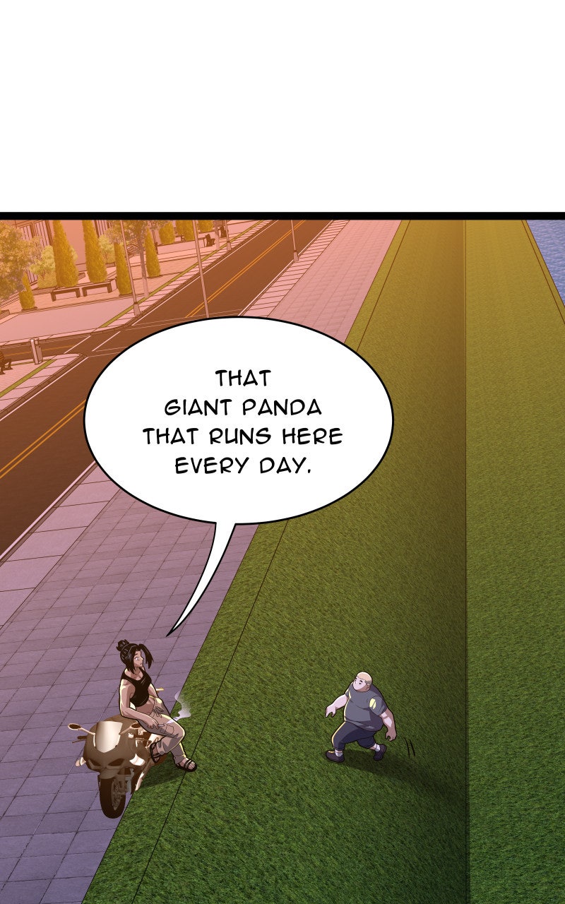 Read Samurai no Tora Manga Online