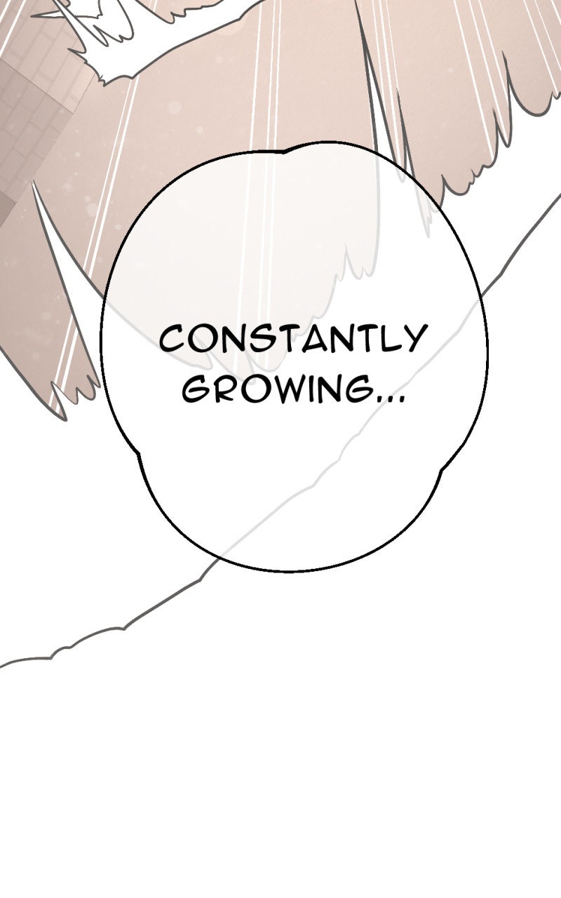 Read Samurai no Tora Manga Online