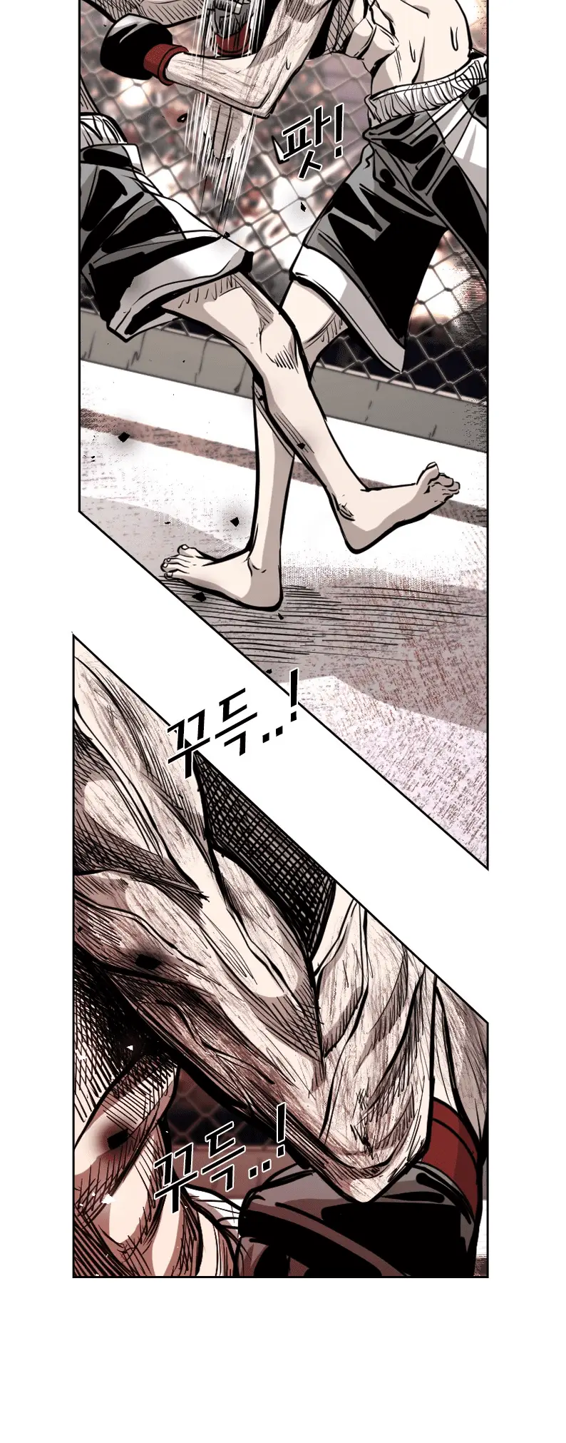 Read Shark Manga Online