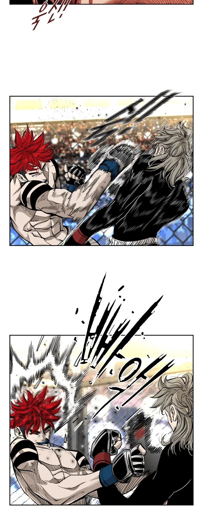 Read Shark Manga Online