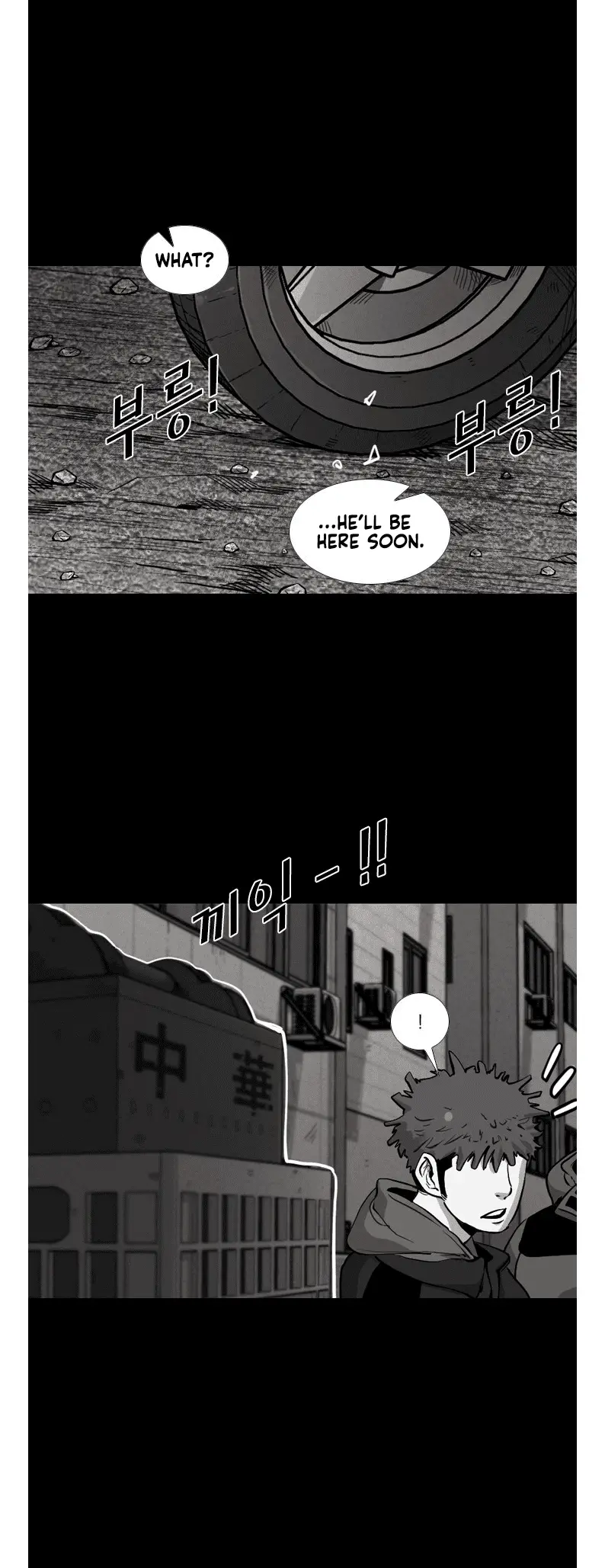 Read Shark Manga Online