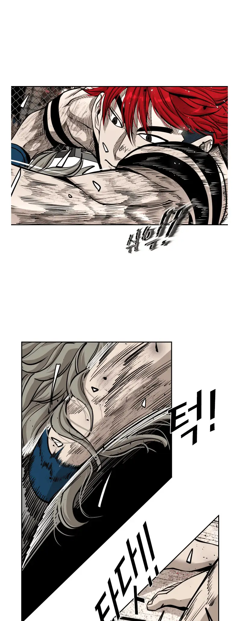 Read Shark Manga Online