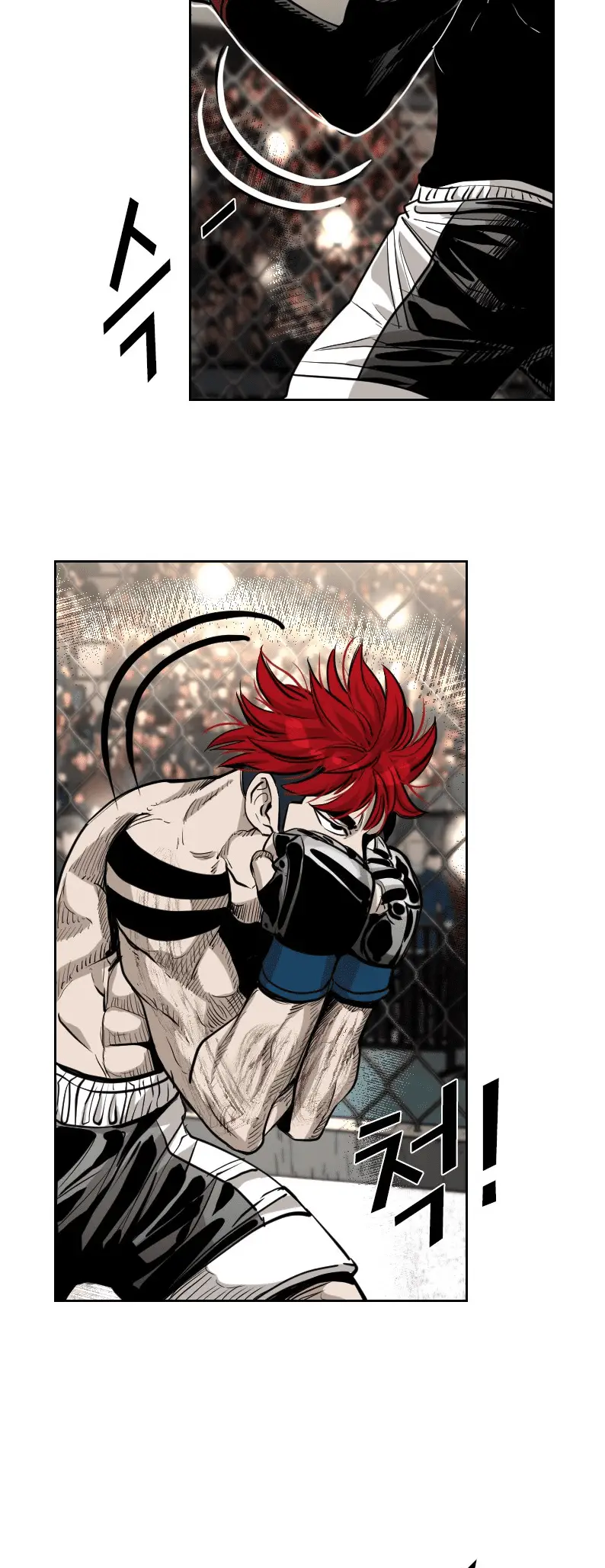 Read Shark Manga Online