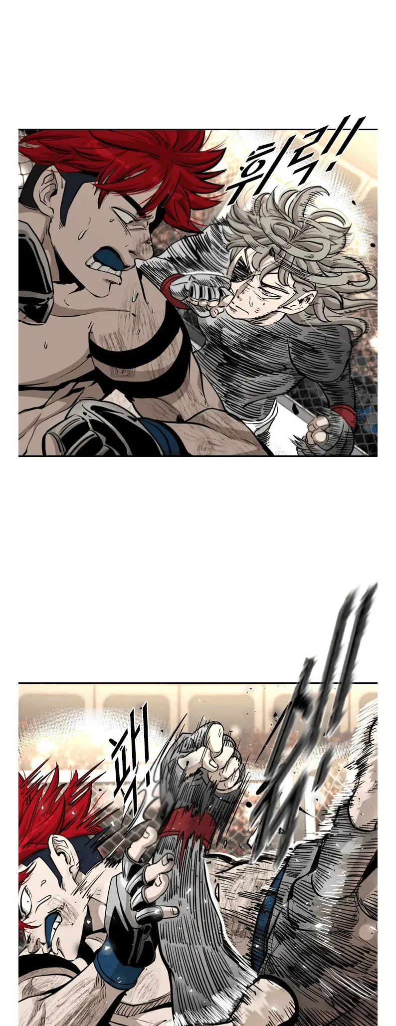 Read Shark Manga Online