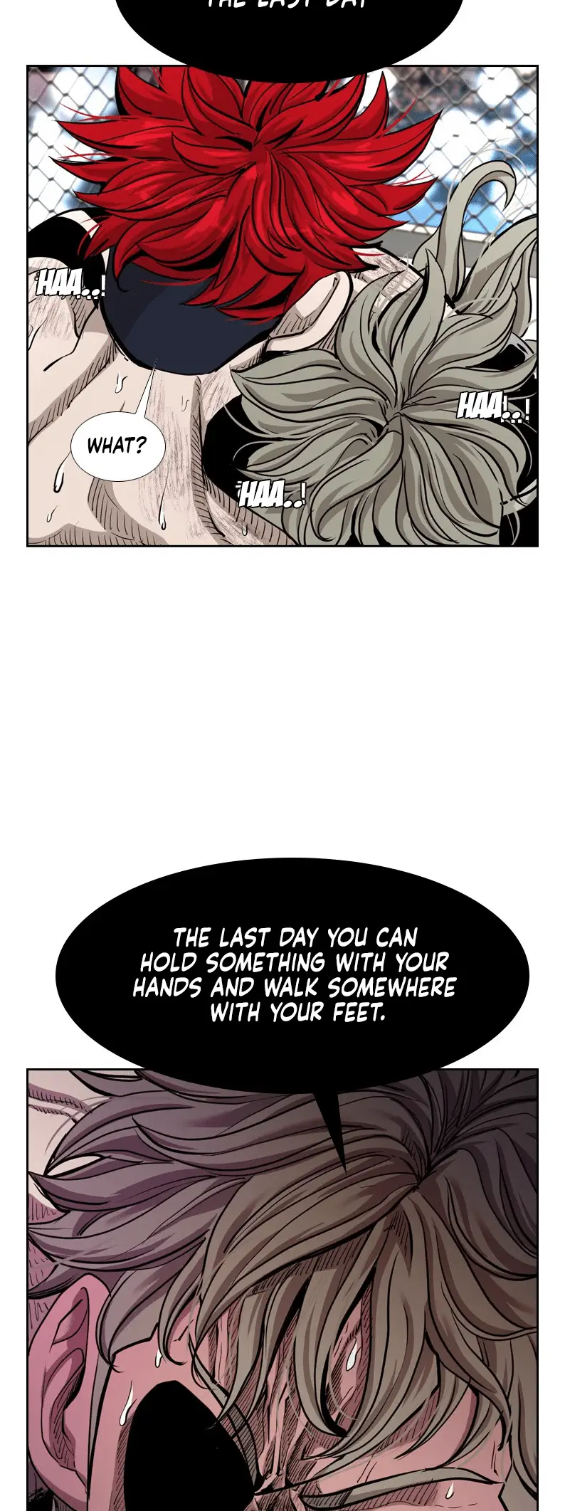 Read Shark Manga Online