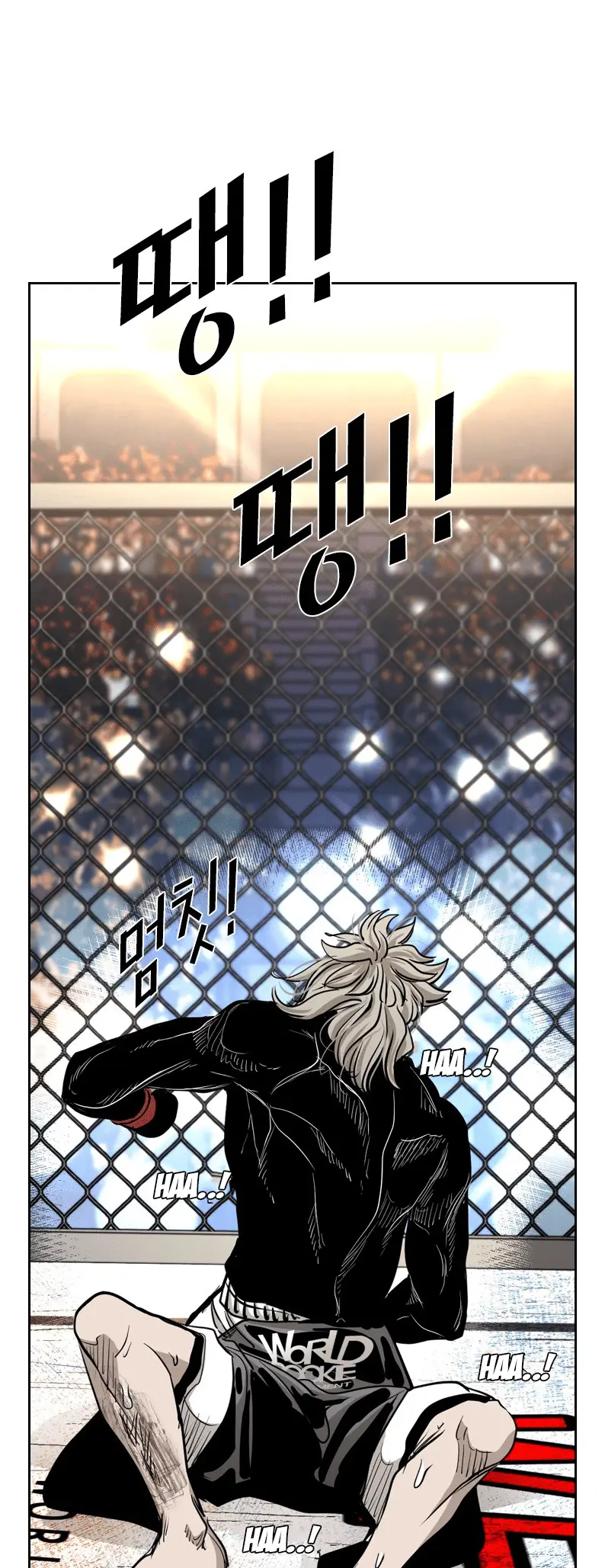 Read Shark Manga Online
