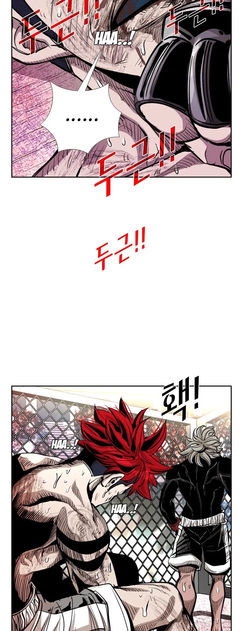 Read Shark Manga Online