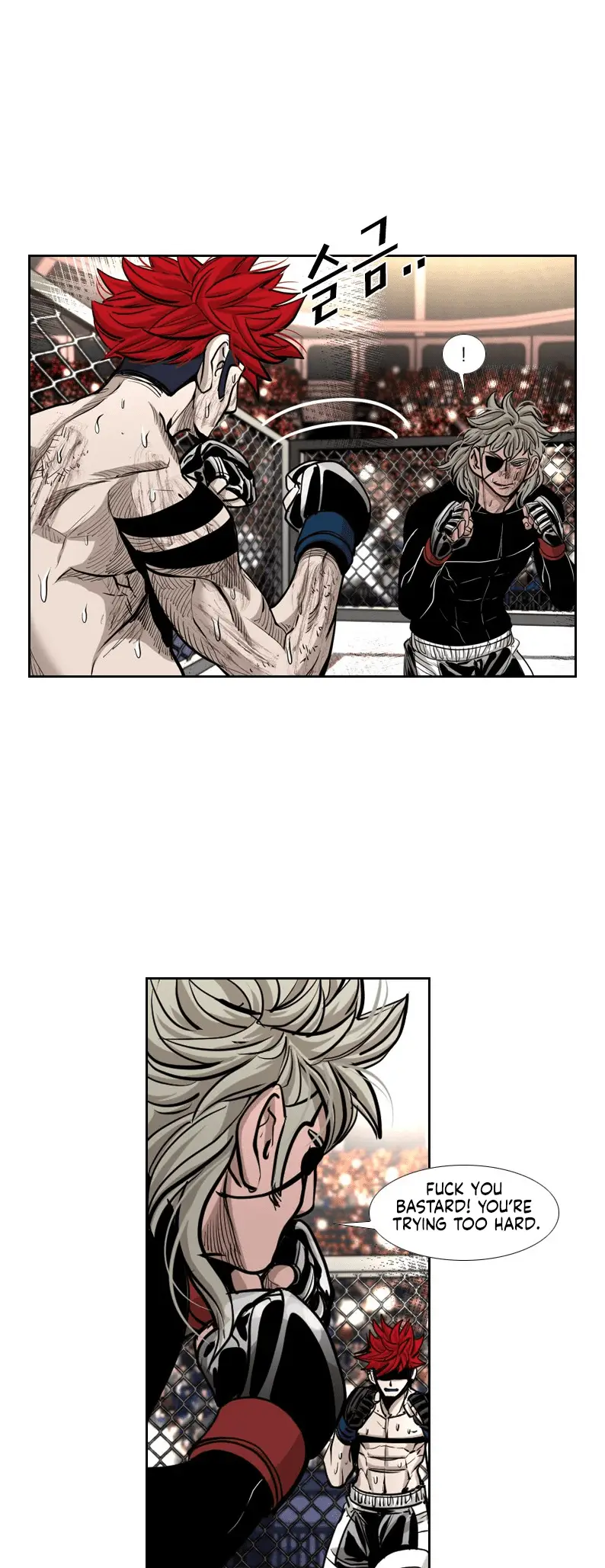 Read Shark Manga Online