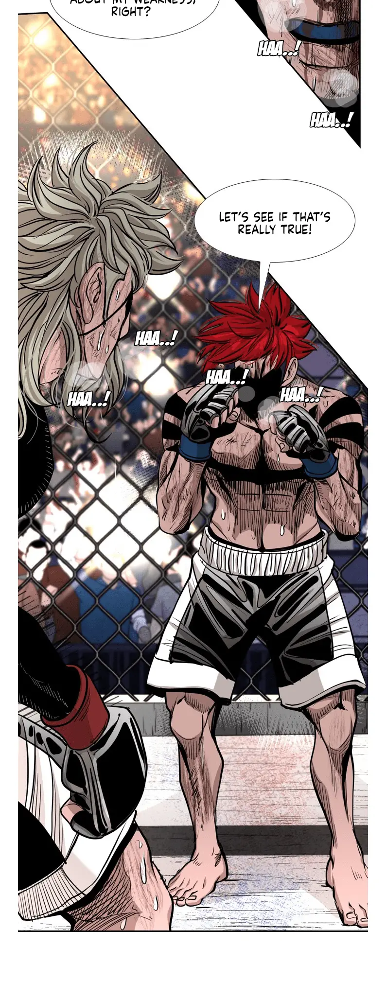 Read Shark Manga Online