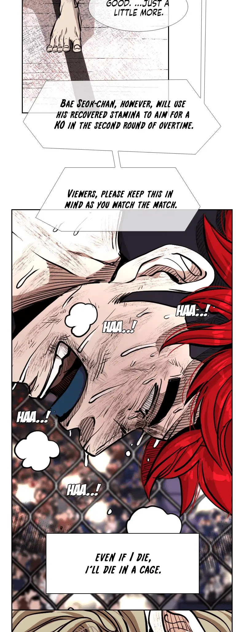 Read Shark Manga Online