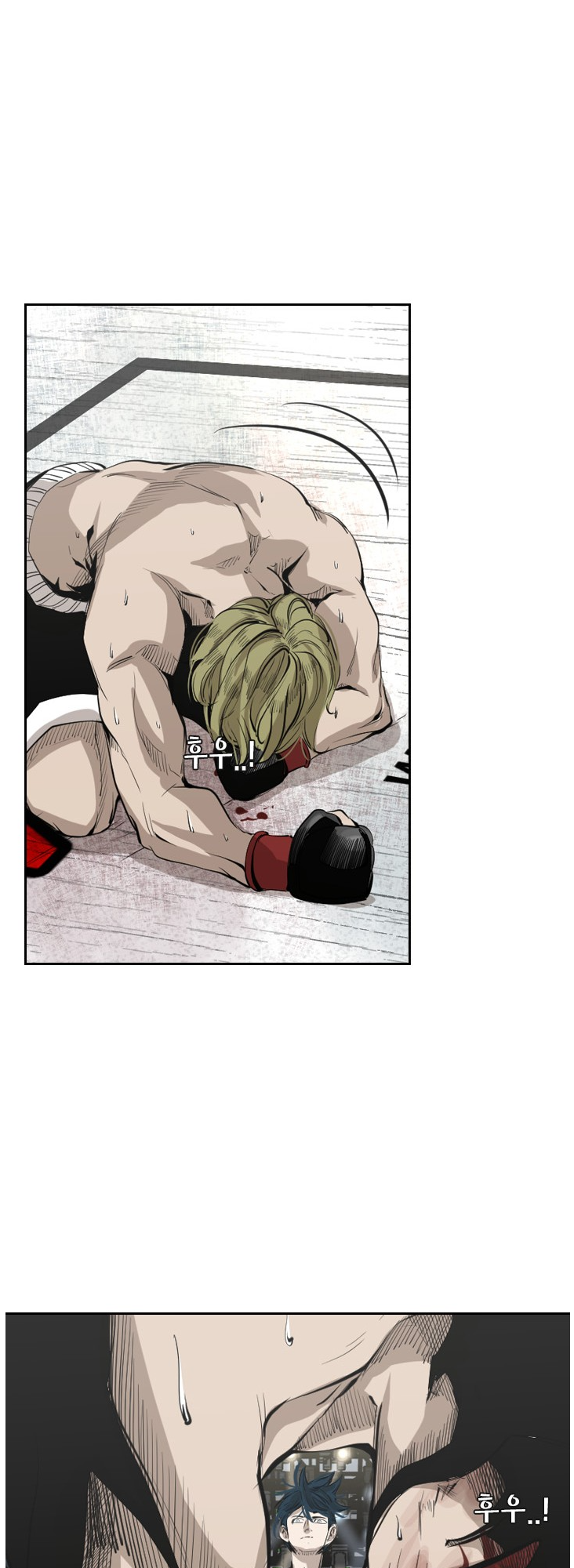 Read Shark Manga Online