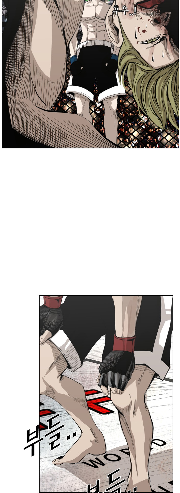 Read Shark Manga Online