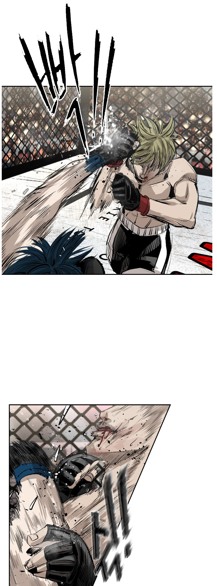 Read Shark Manga Online