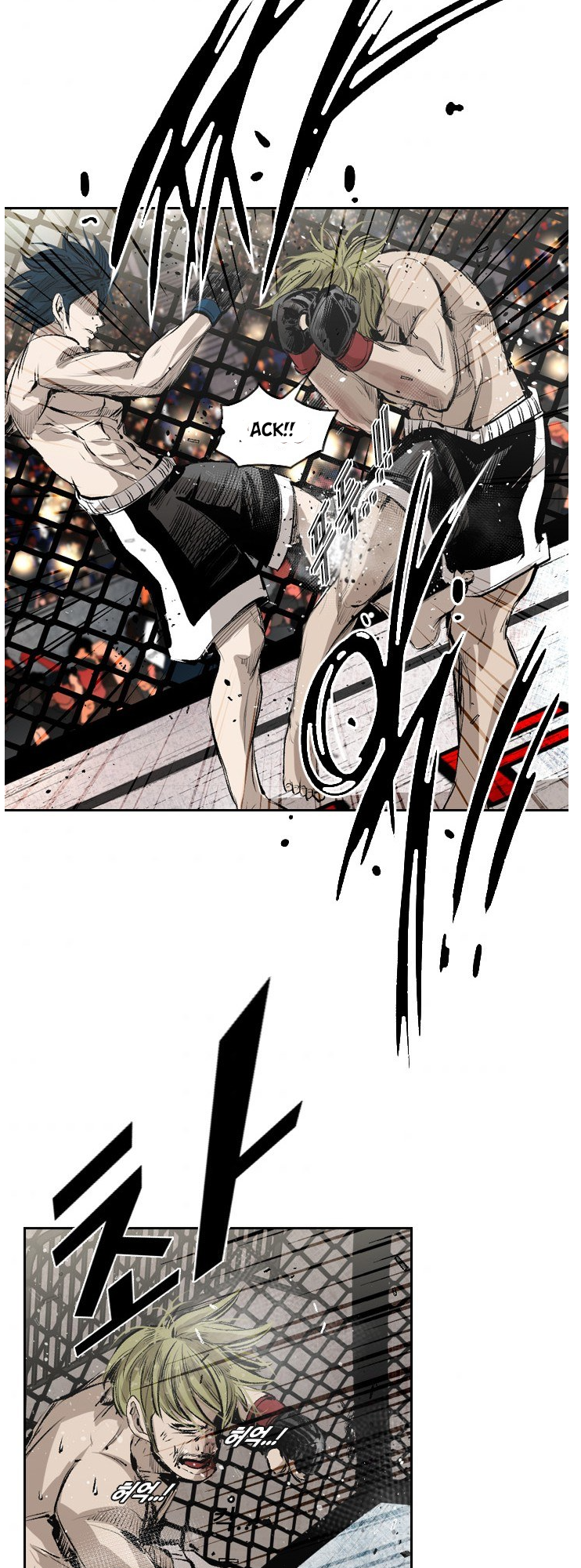 Read Shark Manga Online