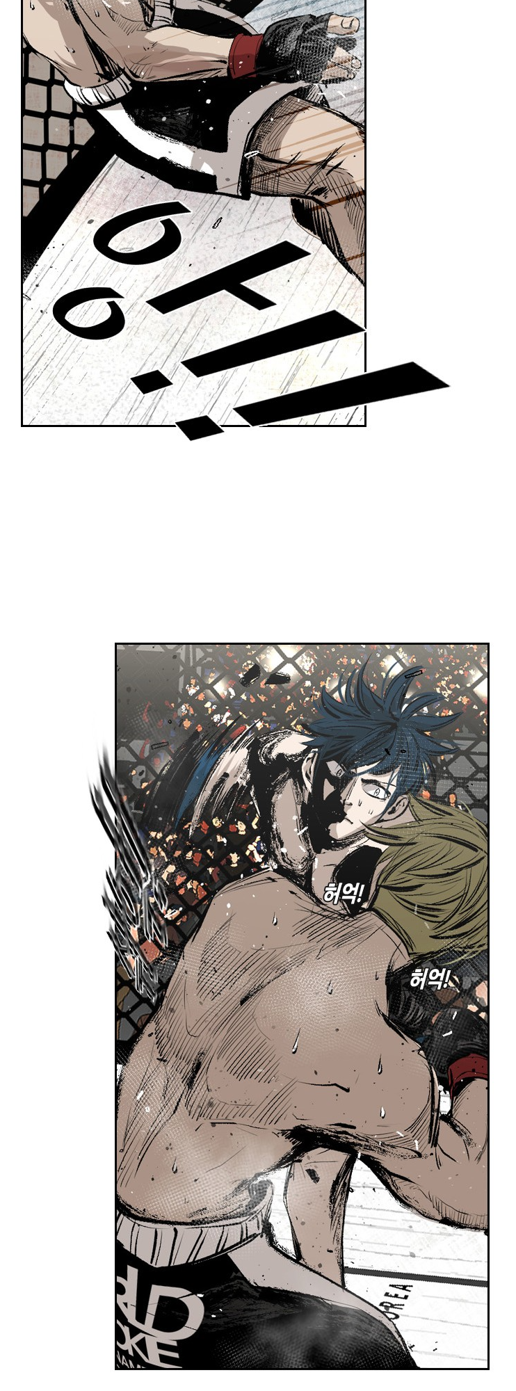 Read Shark Manga Online