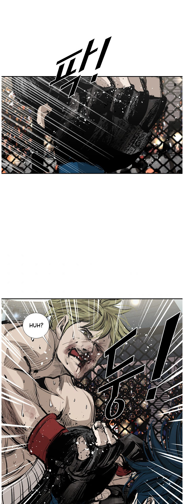 Read Shark Manga Online