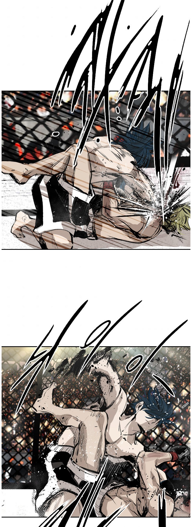 Read Shark Manga Online