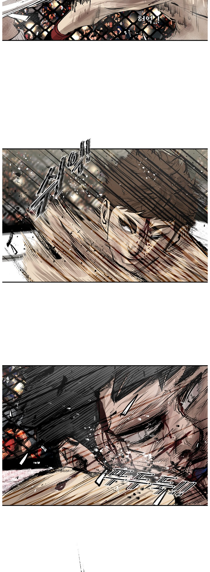 Read Shark Manga Online