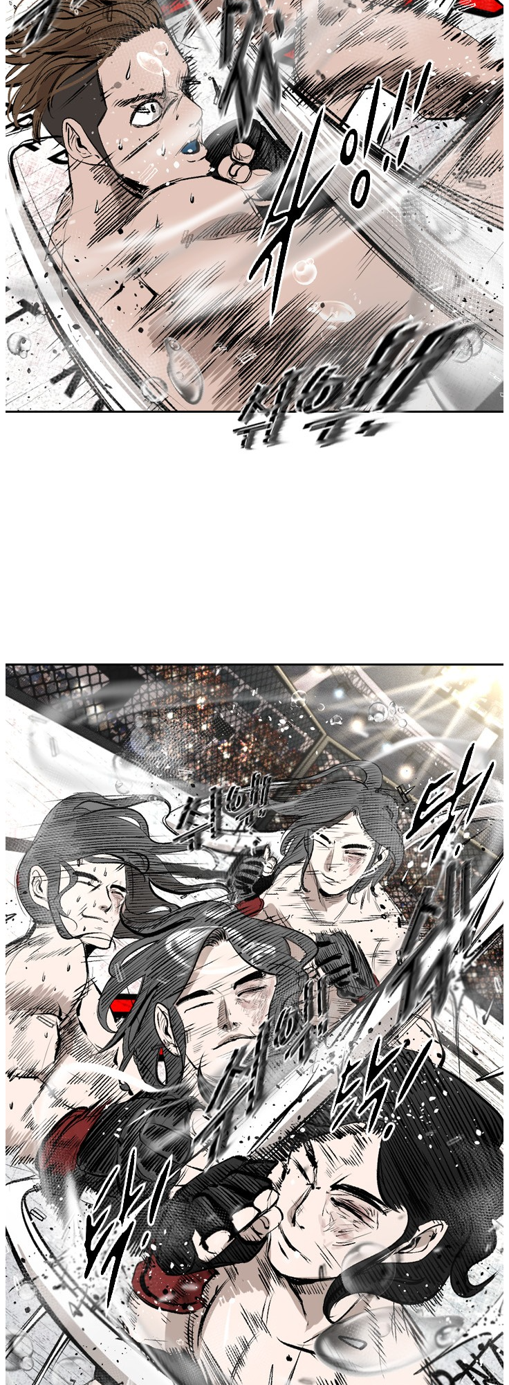 Read Shark Manga Online