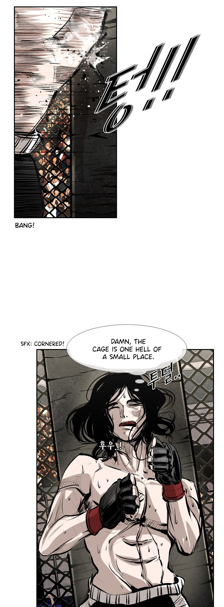 Read Shark Manga Online