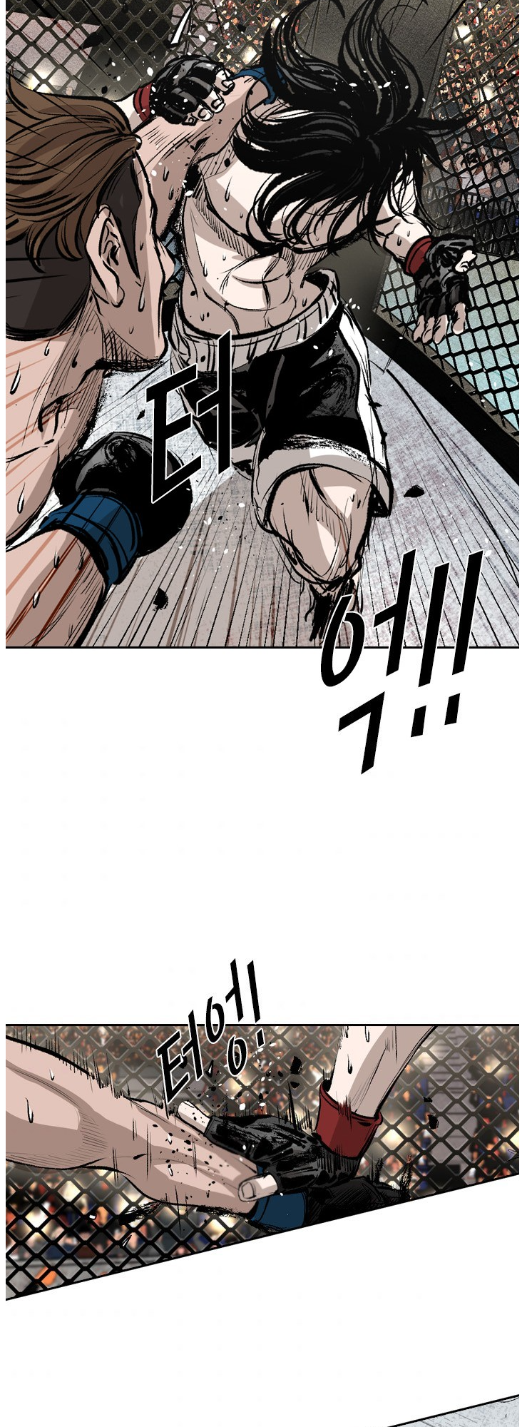 Read Shark Manga Online