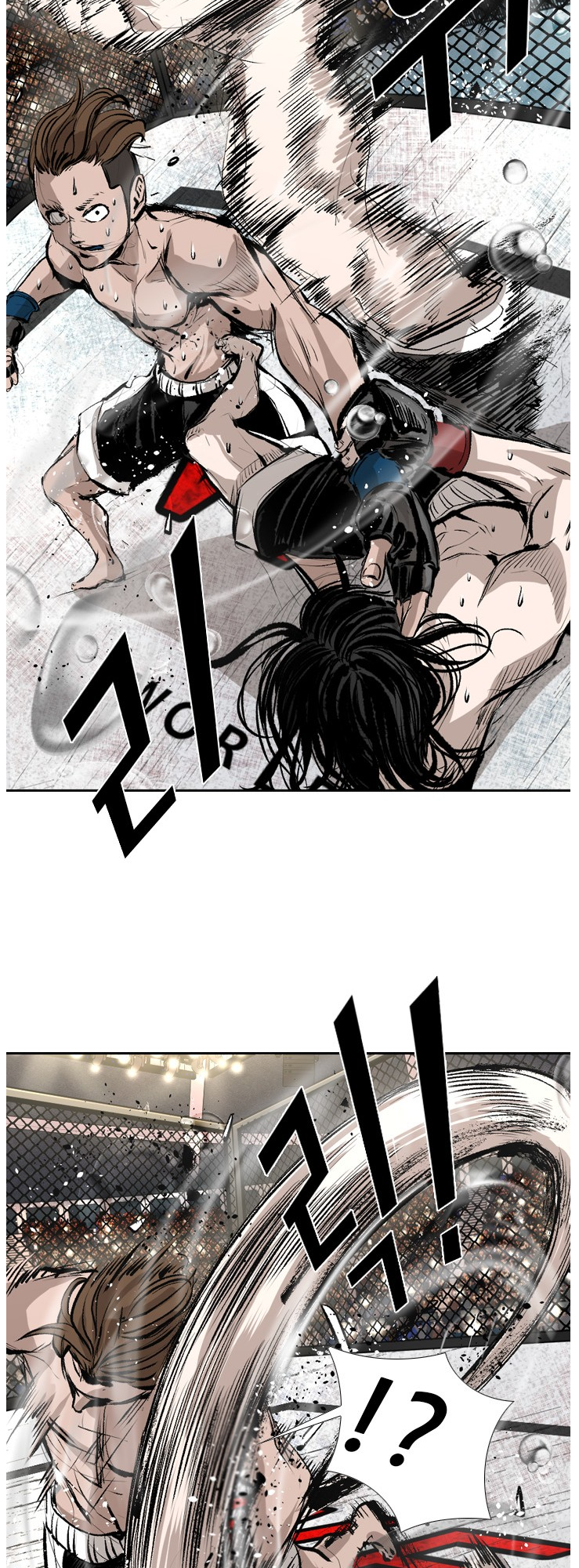 Read Shark Manga Online