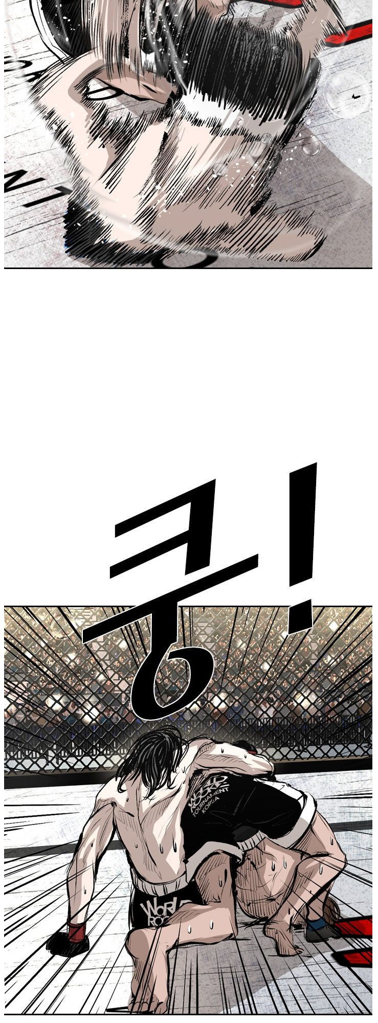 Read Shark Manga Online