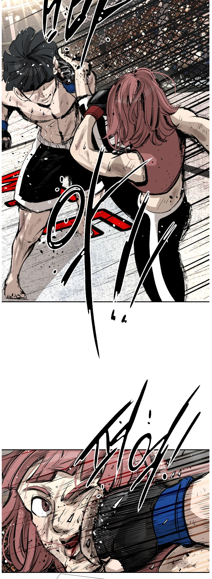 Read Shark Manga Online