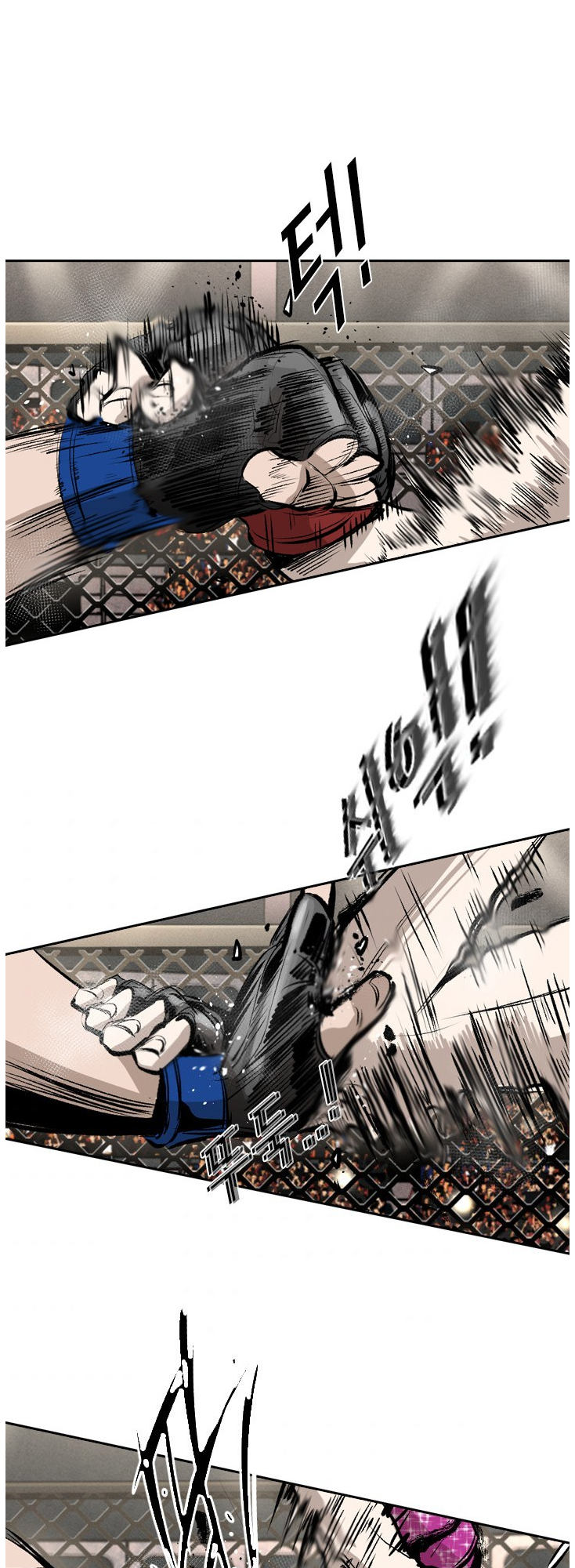 Read Shark Manga Online