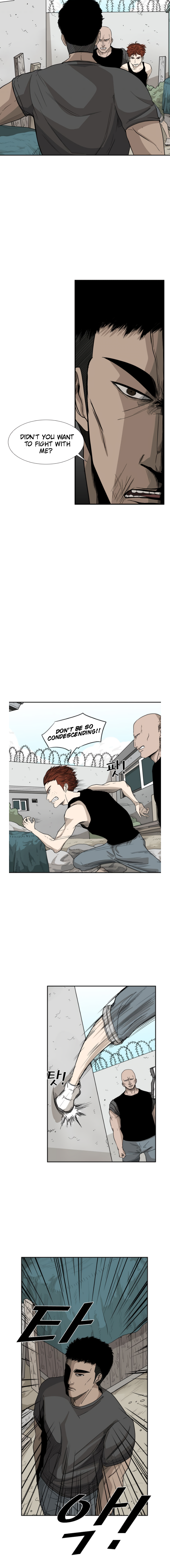 Read Shark Manga Online